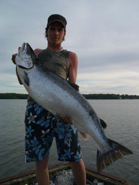 Merikarvian lohi 19kg