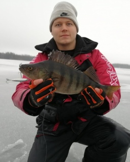 Ahven 1,10 kg