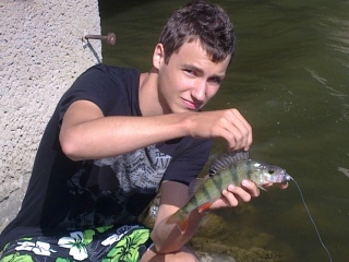Ahven 800 g