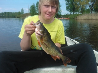 Ahven 1,04 kg
