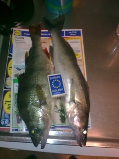 Ahven 550 g