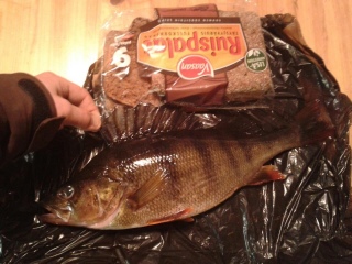Ahven 1,06 kg