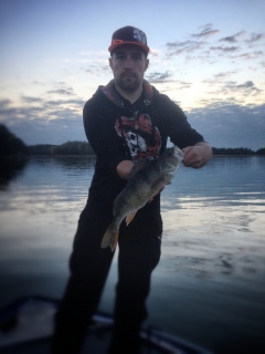 Ahven 1,06 kg