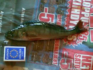 Ahven 250 g