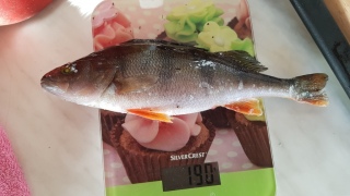 Ahven 190 g