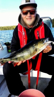 Ahven 1,37 kg