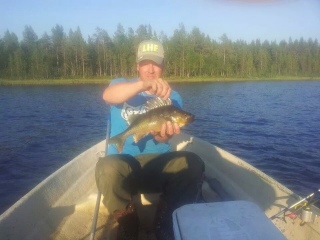 Ahven 1,06 kg