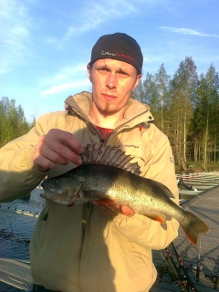 Ahven 550 g