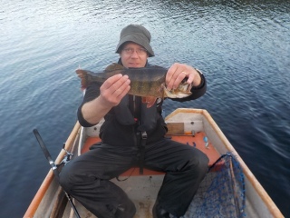 Ahven 1,34 kg