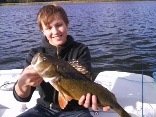 Ahven 1,15 kg