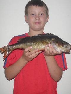 Ahven 1,02 kg