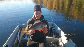 Ahven 1,01 kg