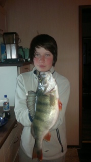 Ahven 850 g
