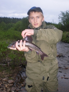 Harjus 610 g