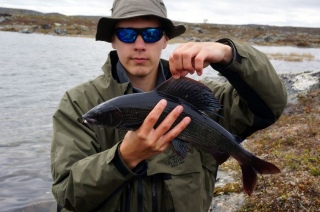 Harjus 1,05 kg