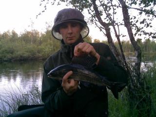 Harjus 710 g