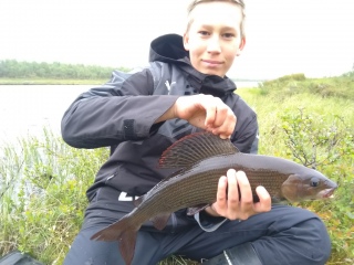 Harjus 1,22 kg