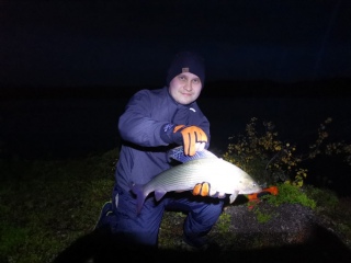 Harjus 1,50 kg