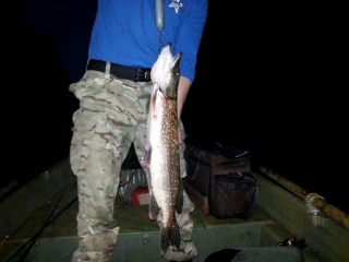 Hauki 3,10 kg