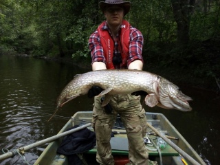 Hauki 6,41 kg