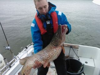 Hauki 12,95 kg
