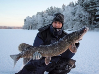 Hauki 7,10 kg