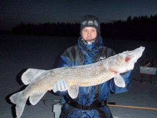 Hauki 6,60 kg