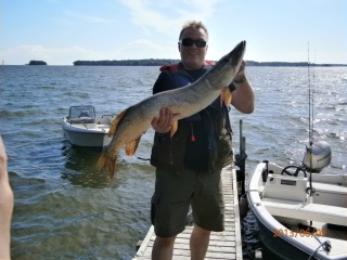 Hauki 7,20 kg