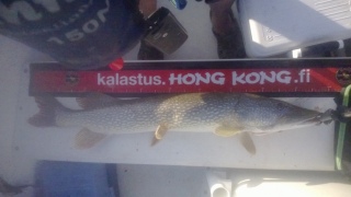 Hauki 4,80 kg