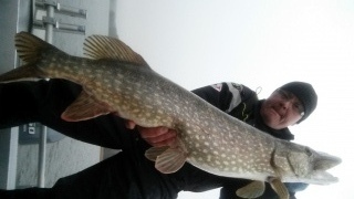 Hauki 6,70 kg