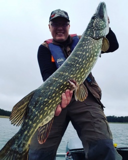 Hauki 5,00 kg