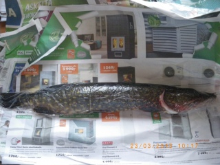 Hauki 1,06 kg