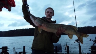 Hauki 6,71 kg