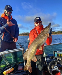 Hauki 10,40 kg