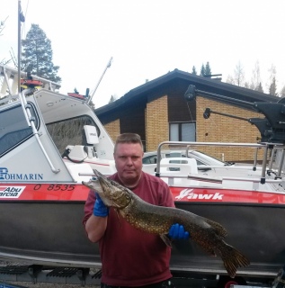 Hauki 7,30 kg