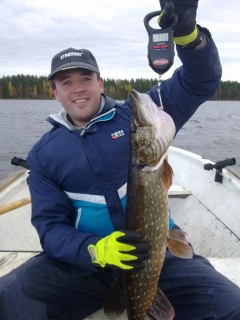 Hauki 3,43 kg