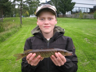 Hauki 200 g