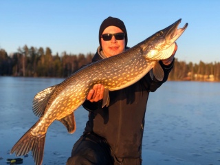 Hauki 6,40 kg