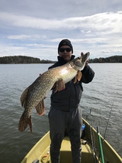 Hauki 6,50 kg