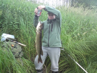 Hauki 2,41 kg