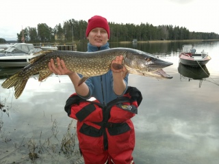 Hauki 5,25 kg