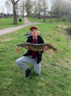 Hauki 5,04 kg