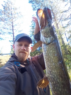 Hauki 4,31 kg