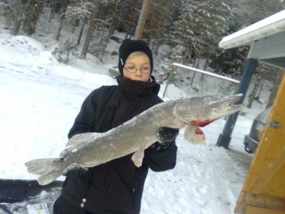 Hauki 4,00 kg