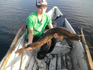Hauki 9,15 kg
