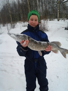 Hauki 4,73 kg