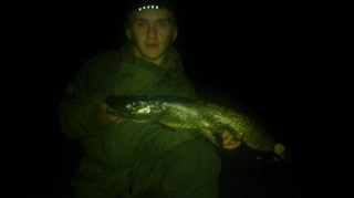 Hauki 3,10 kg