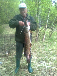 Hauki 6,17 kg