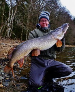 Hauki 10,50 kg