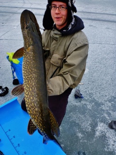 Hauki 7,38 kg